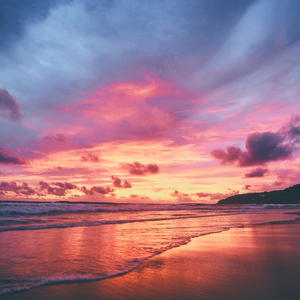 青青免费网站免费观看
