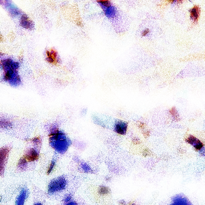 青青免费网站免费观看
