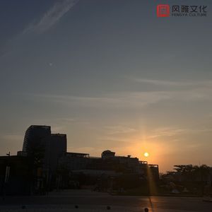 青青免费网站免费观看
